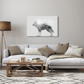 Kép - Vad tájat tükröző sarkvidéki farkas, fekete-fehér (90x60 cm)