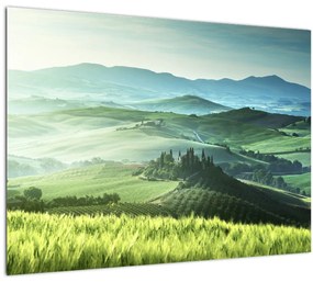 Kép - Toszkána, Olaszország (70x50 cm)
