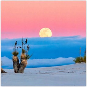 Poszterek 140x140 Kilátás Tájkép