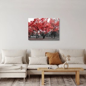 Kép - vörös fák, Central Park, New York (üvegen) (70x50 cm)
