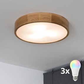 BRILAGI - LED RGBW DimmelhetĆ mennyezeti lĂĄmpa CARVALHO 3xE27/12W/230V tölgy ĂĄtm. 47,5
