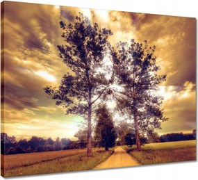 Vászonkép 50x40 Vidéki tájkép úttal