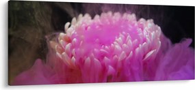 Rózsaszín virág képe a füstben (120x50 cm)