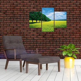 A mező képe egy sikátorral (90x60 cm)
