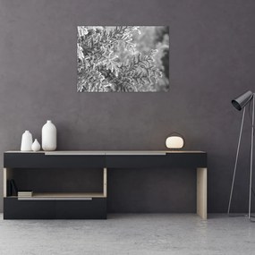 Üveg kép - Lucfenyő erdő (70x50 cm)