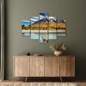 Kép - Torres del Paine Nemzeti Park (150x105 cm)