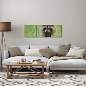 A mosómedve képe (órával) (90x30 cm)