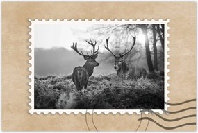 Poszterek 120x80 Fekete-fehér szarvasok