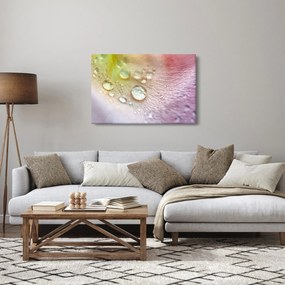 Kép - Harmatcseppek (90x60 cm)