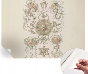 Design fali fotótapéta öntapadós víz alatti világ 312x219 cm