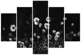 Kép - Gyapotfűvel borított rét N⁰1 (150x105 cm)