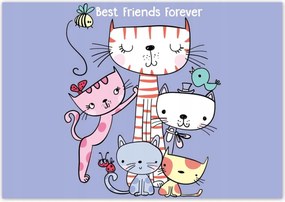 Poszterek 100x70 Cica Cicák Macskák