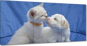 Festmények 120x60 Szerelem Érzés Párkapcsolat