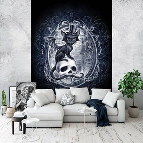 Flizelin fotótapéta 184x254 Állatok Macska a kalapban a koponyán +ragasztó