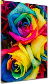 Vászonkép 80x120 Színes rózsák Virágok