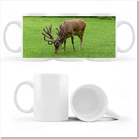 Fotó bögre Szarvas felszarvazott