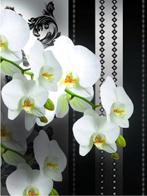 Fotótapéta Fehér orchideák vinil 184x254 elegancia és harmónia otthonra +ragasztó