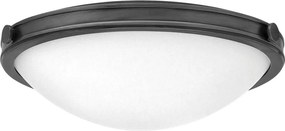 Hinkley Lighting Collier HK-COLLIER-F-M-BX Süllyesztett mennyezeti lámpa 3x40W/E27 IP20