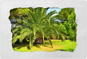 Poszterek 90x60 Trópusok Tájkép Pálmafák