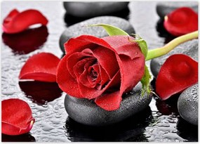 Poszterek 70x50 Vörös rózsa Neki