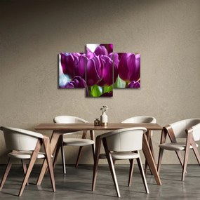 Tulipán képe (90x60 cm)