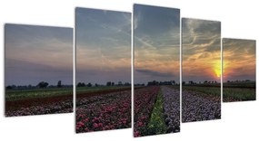 Modern képek - virágok  (150x70cm)