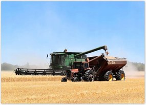 Poszterek 70x50 Kombájn az aratás idején