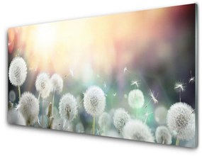 Üvegfotó Pitypang Virágok Természet 100x50 cm