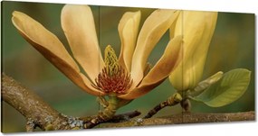 Vászonkép 180x90 Virágok