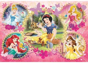 Disney Hercegnők puzzle 2x60 db-os (Doers)