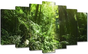 Festmények 140x80 Varázslatos erdő Tájkép