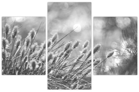 Kép - Bézs színű puha fű N⁰1 (90x60 cm)