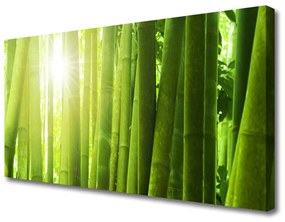 Vászonkép falra bambusz növény 120x60 cm