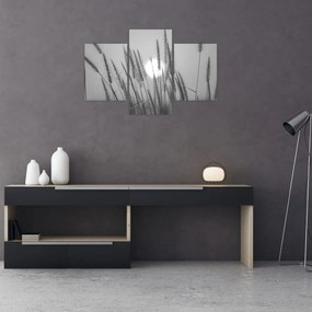 Kép - Mező naplementében (90x60 cm)