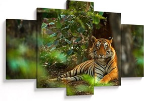 Pihenő tigris képe (150x105 cm)