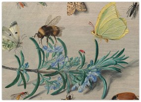 Kép - Jan van Kessel the Elder, Insects and a Sprig of Rosemary, reprodukciók (70x50 cm)