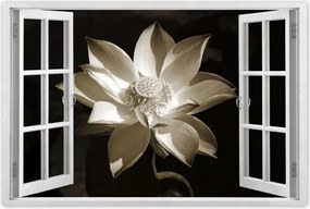 Poszterek 90x60 Lótusz Lótuszvirág