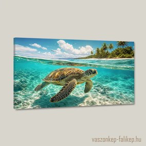 Tengeri teknős a víz alatt – prémium falikép 60x34 cm