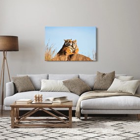 Kép - Tigris és a kölyke (90x60 cm)