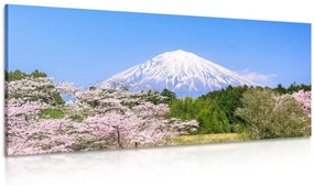 Kép Fuji hegy