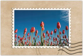 Poszterek 120x80 Tulipánok Tájkép Tulipánok