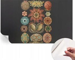 Dekoratív Öntapadós Tapéta Divatos Tengeri Minták Inspirációk 416x254 cm