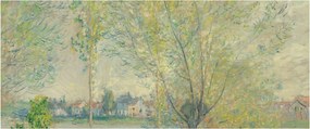 Kép - Claude Monet, The Willows, reprodukciók (120x50 cm)