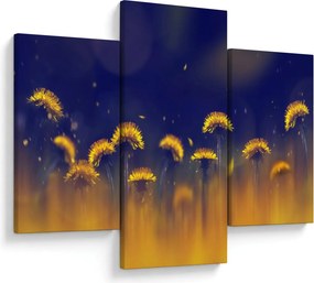 Kép - Pitypang (90x60 cm)