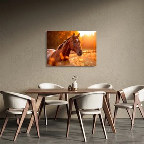Üveg kép - Ló a naplementében (70x50 cm)