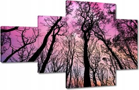 Festmények 130x80 Erdő Fák Kilátás alulról