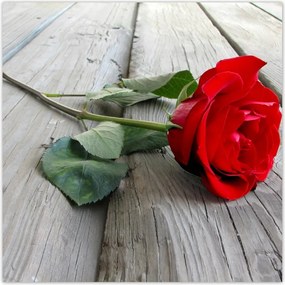 Fotótapéta flizelina 208x208 Vörös rózsa