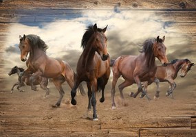 Fotótapéta - Vágtató ló fa táblákon (152,5x104 cm)