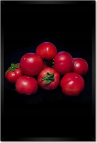 Poszterek keretben 40x60 Piros paradicsom