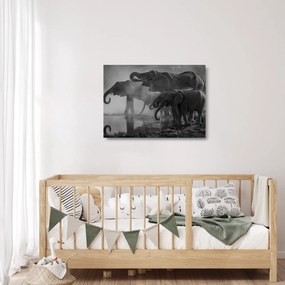 Elefánt képe - fekete fehér (üvegen) (70x50 cm)